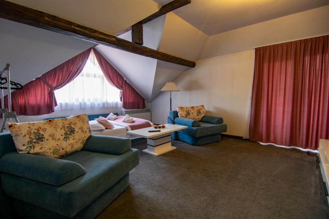 Hotel La Conacul Vesel à Săpînţa Extérieur photo